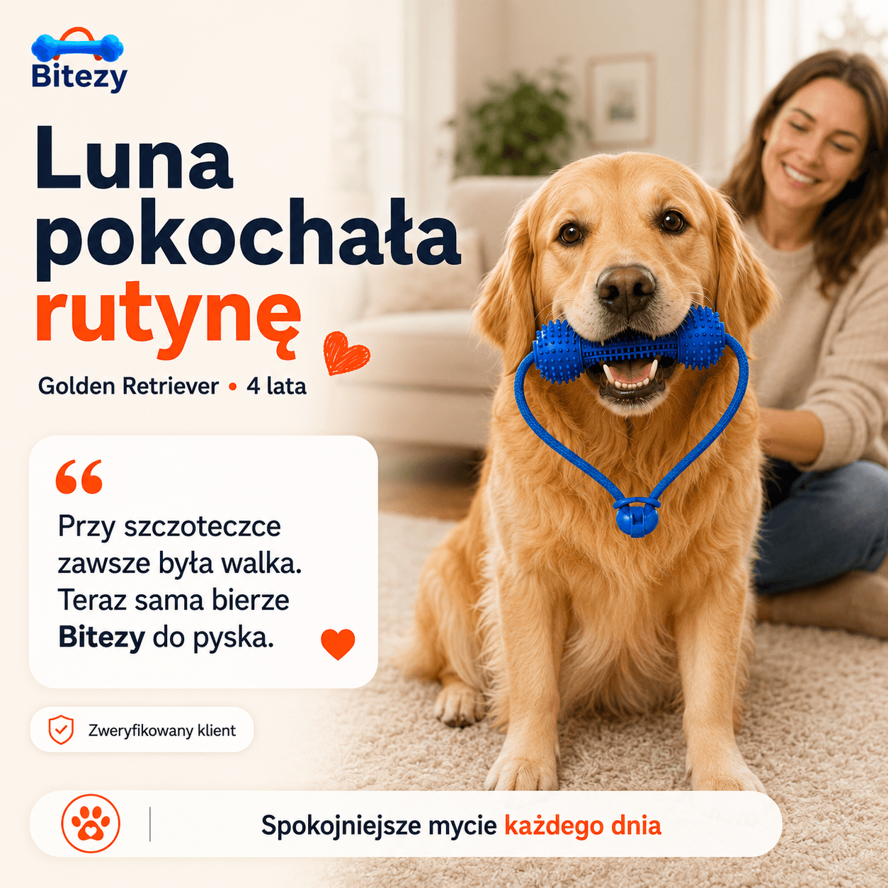 Luna, Golden Retriever, 4 lata