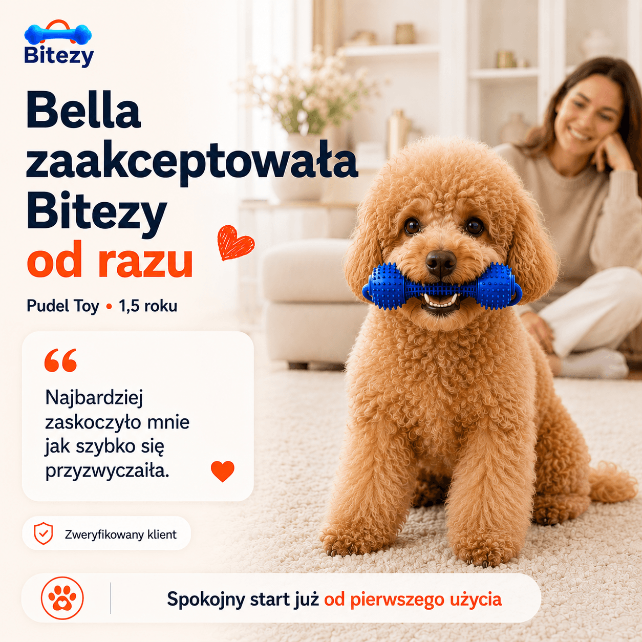 Bella, Pudel Toy, 1,5 roku
