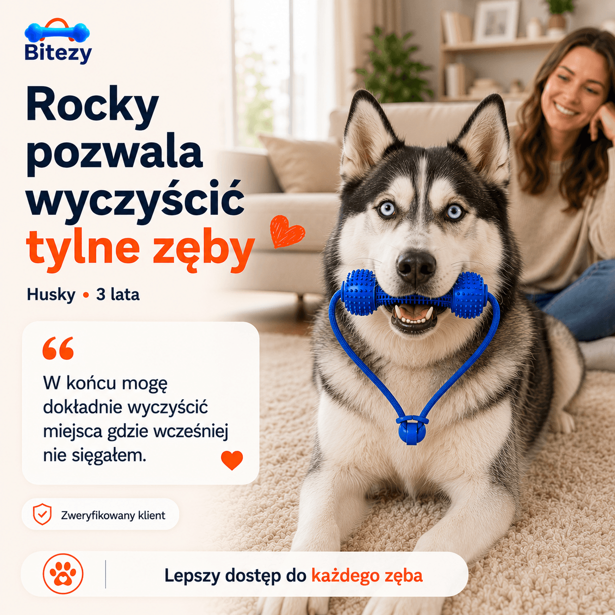 Rocky, Husky, 3 lata