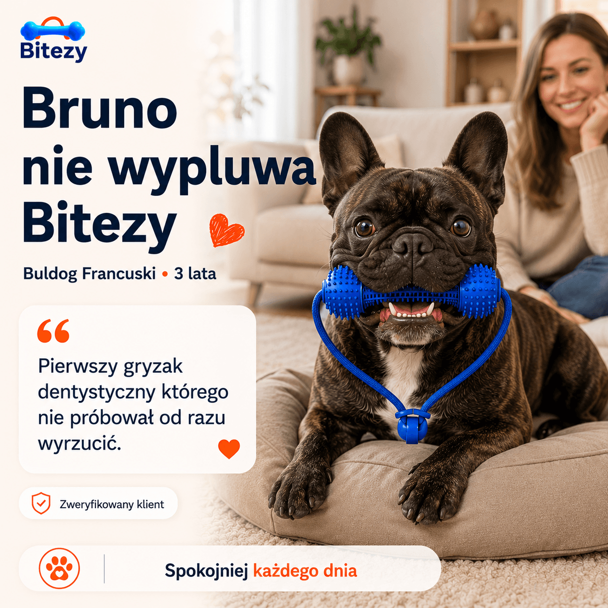 Bruno, Buldog Francuski, 3 lata